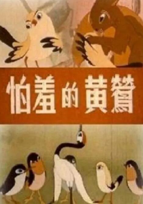 欧美阿v